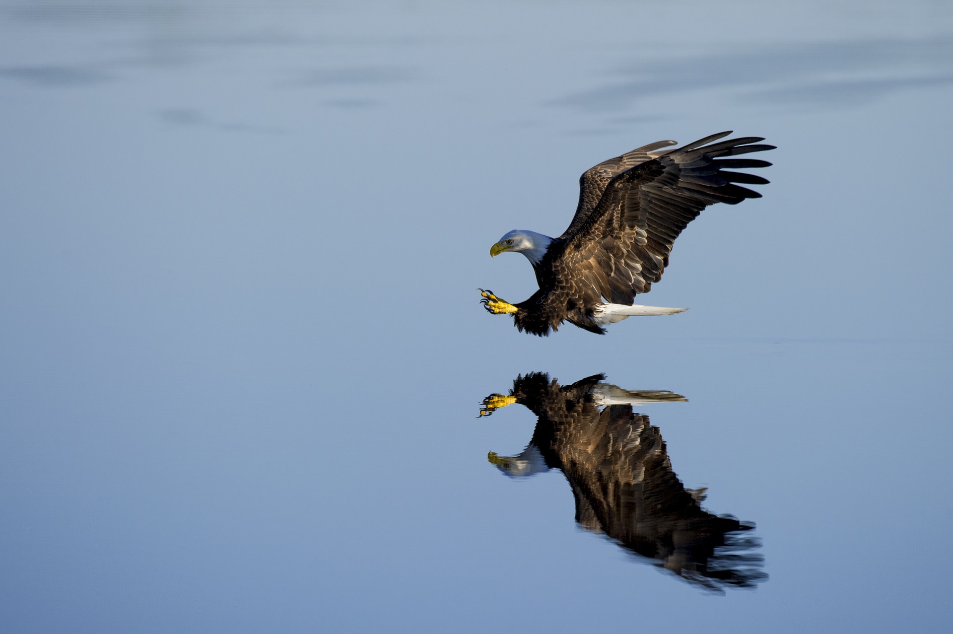 Coaching: Volar como las águilas